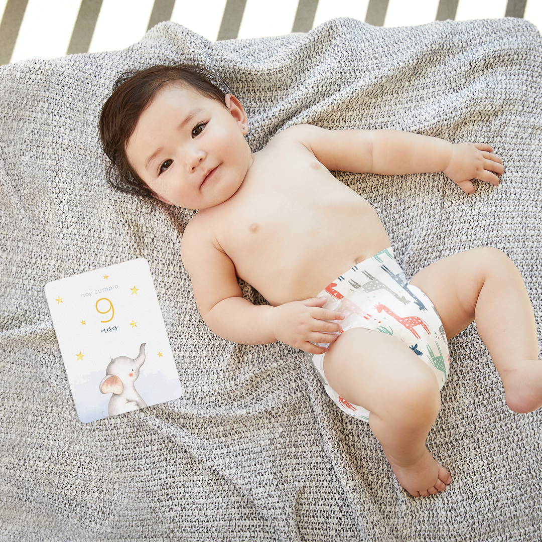 Tarjetas Meses Sky Elephant