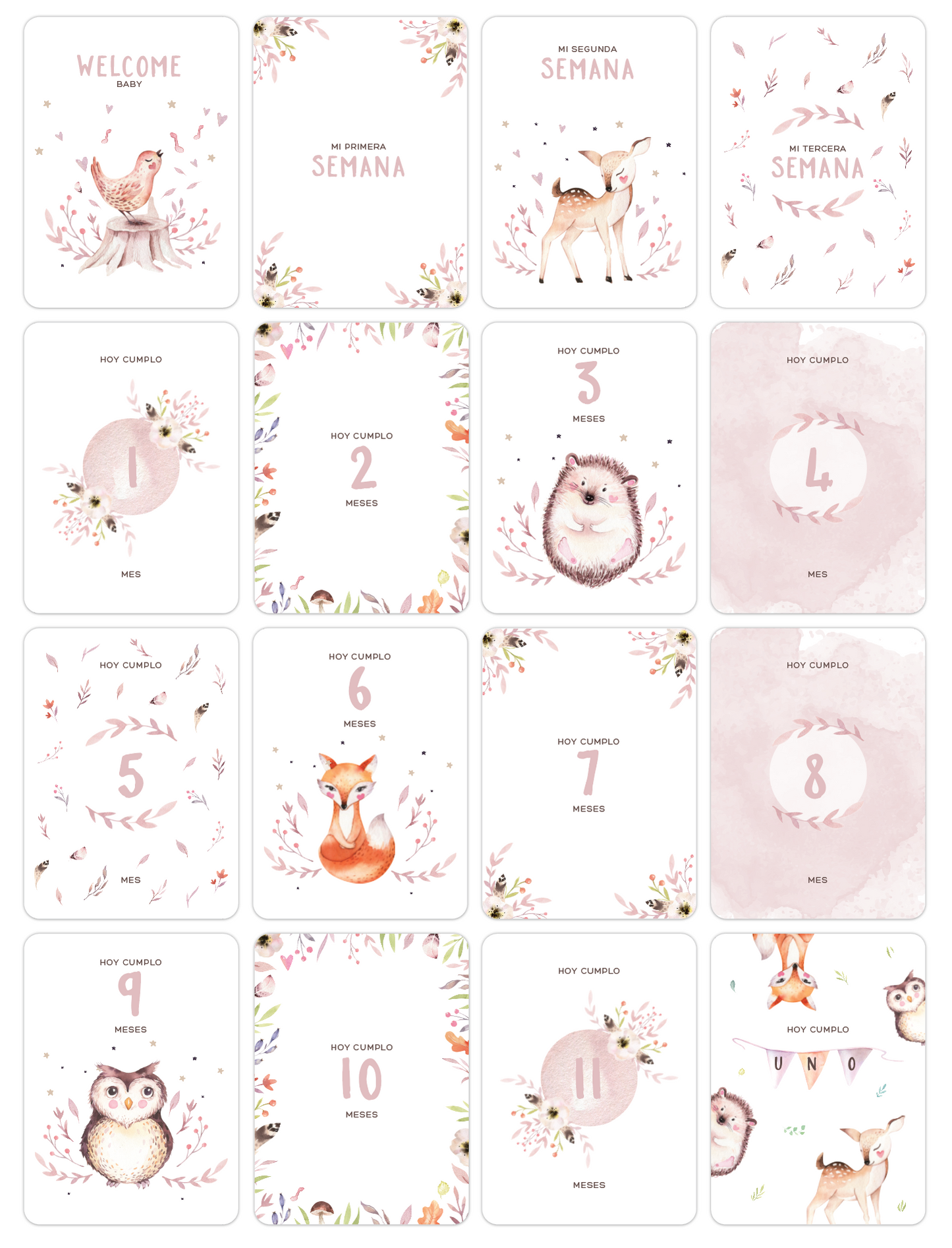Tarjetas Meses Pink Woods