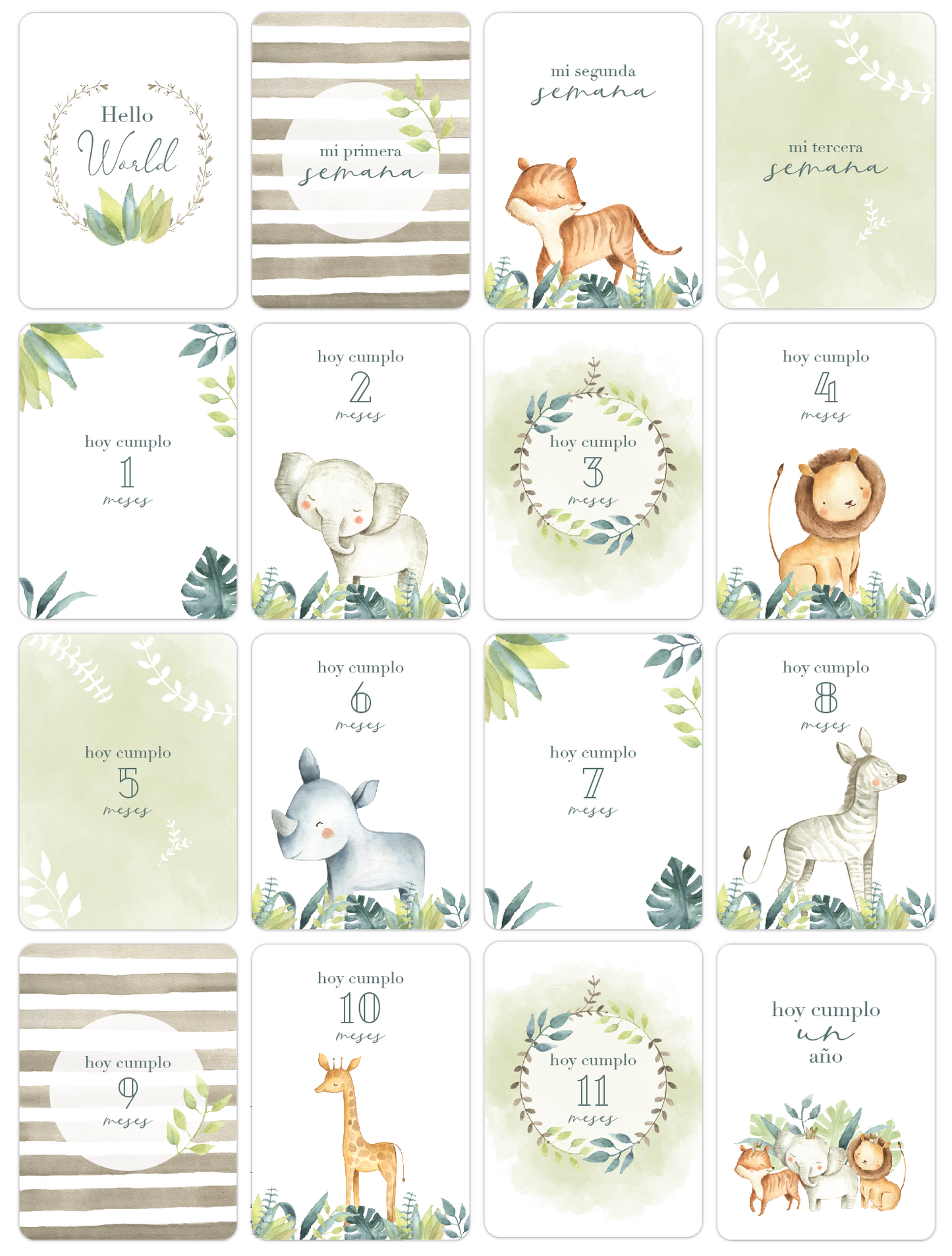Tarjetas Meses Jungle Land