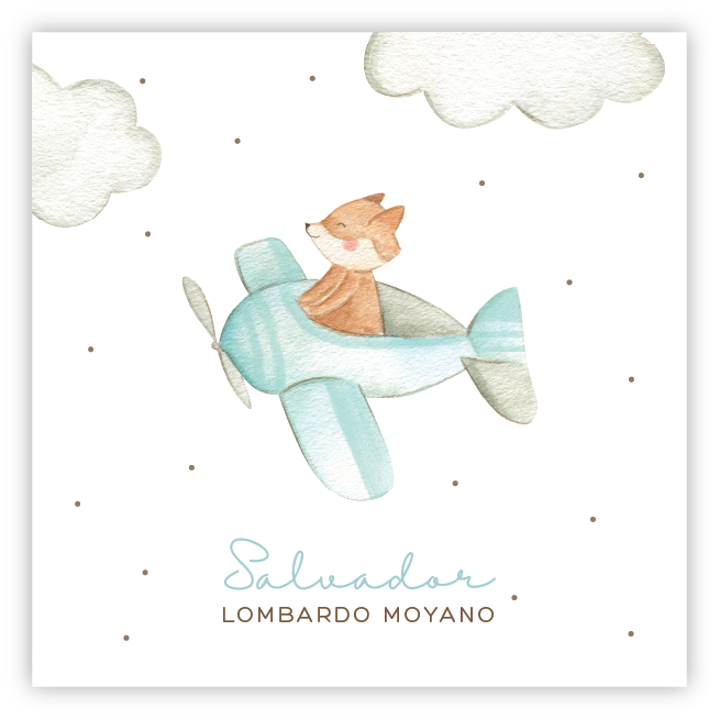 Tarjetita Zorro en Avión