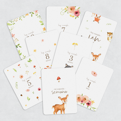 Tarjetas Meses Flower Forest