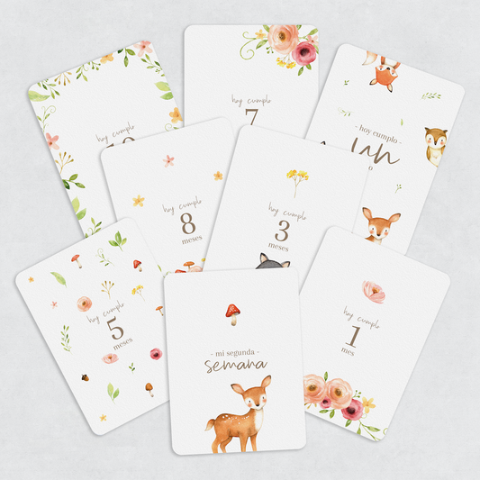 Tarjetas Meses Flower Forest