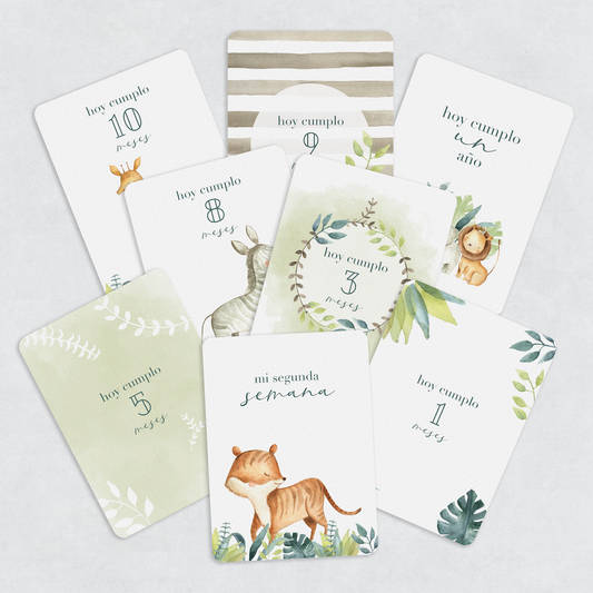 Tarjetas Meses Jungle Land