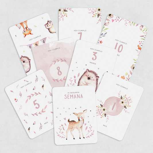 Tarjetas Meses Pink Woods