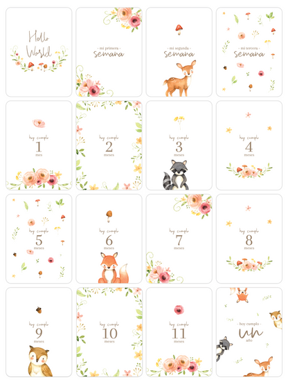 Tarjetas Meses Flower Forest