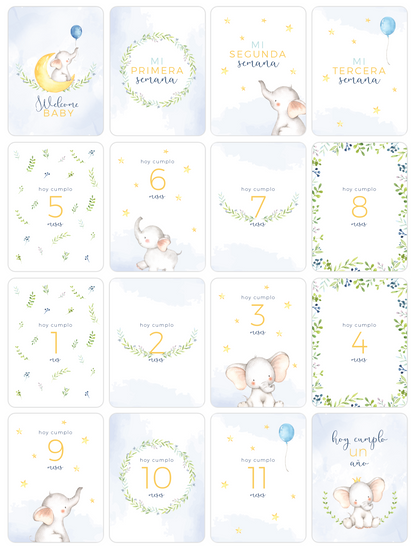 Tarjetas Meses Sky Elephant