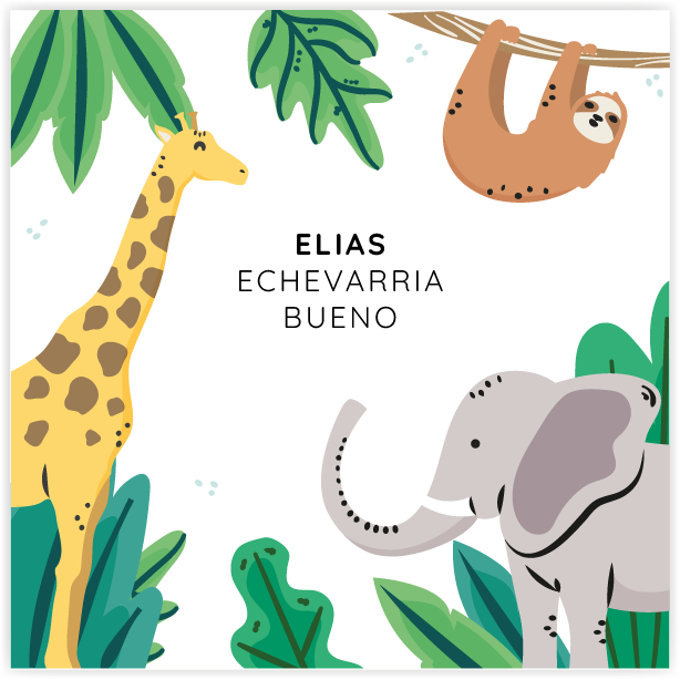 Tarjetita Jungle