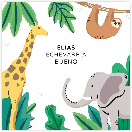 Tarjetita Jungle