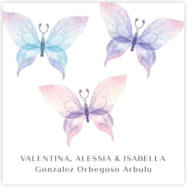 Tarjetita Mariposas Transparencias
