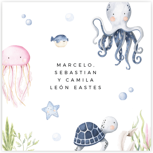 Tarjetita Under The Sea